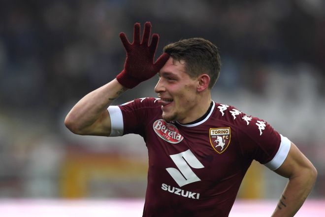 belotti-1