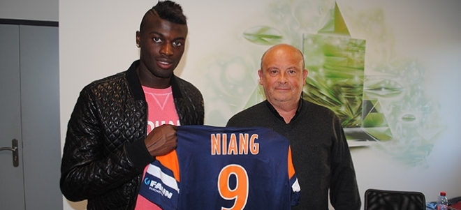 vignette_signature_niang