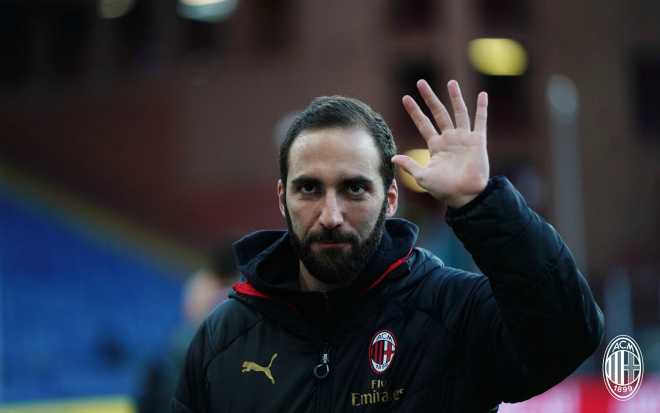 pipita-2